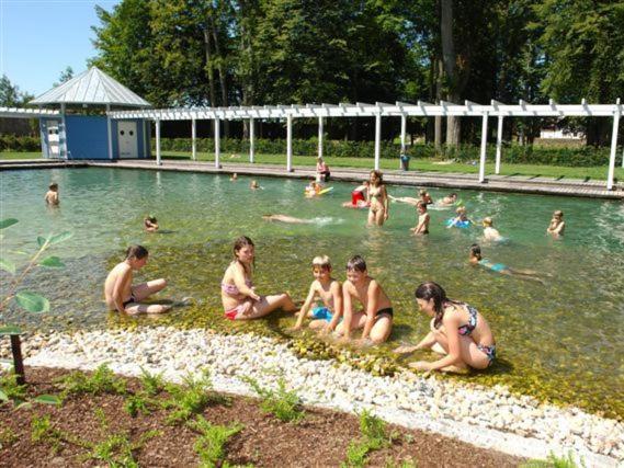 Ferienhaus Chalet Blockhaus Bayern Stamsried ภายนอก รูปภาพ